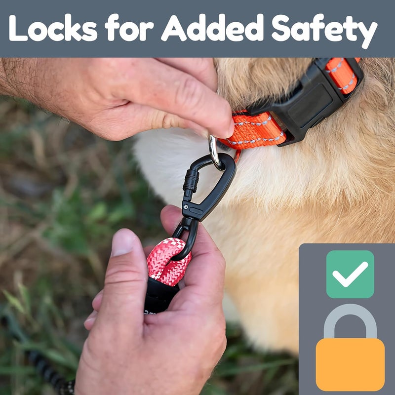 Roam Gear 6 Foot Dog Leash, Two Extra Padded Handles, Locking Carabiner Clip, Reflective for Night Visibility, Weatherproof, Heavy Duty Rope Leash, (Pink) - Image 5